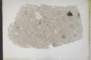 Plane Polarized, S10785