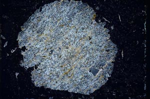 Cross Polarized, S10786