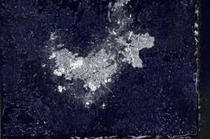 Cross Polarized, S10787