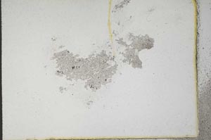 Plane Polarized, S10787