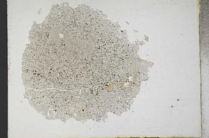 Plane Polarized, S10788