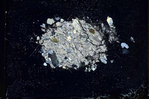 Cross Polarized, S10789