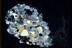 Cross Polarized, S10791