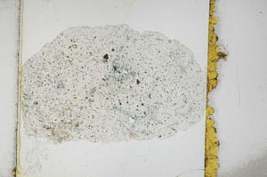 Plane Polarized, S10797