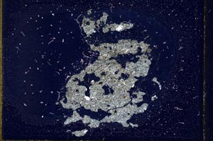 Cross Polarized, S10820