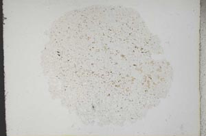 Plane Polarized, S10859