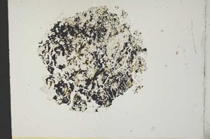 Plane Polarized, S10862