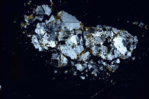 Cross Polarized, S10863