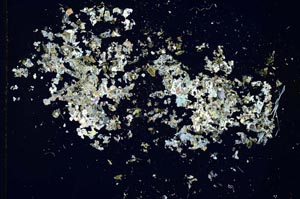 Cross Polarized, S10864