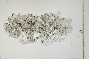 Plane Polarized, S10865