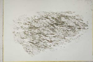 Plane Polarized, S10868