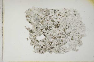 Plane Polarized, S10869