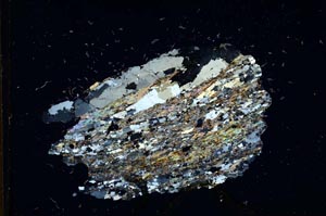 Cross Polarized, S10882