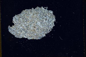 Cross Polarized, S10883