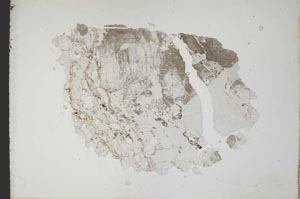 Plane Polarized, S10892