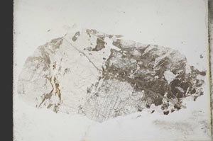 Plane Polarized, S10892/A