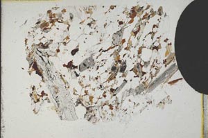 Plane Polarized, S10898