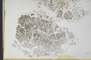 Plane Polarized, S10899