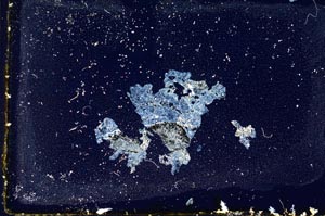 Cross Polarized, S10902