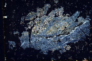 Cross Polarized, S10902/A