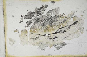 Plane Polarized, S10902/A