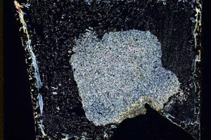 Cross Polarized, S10904