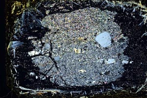 Cross Polarized, S10908