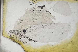 Plane Polarized, S10909