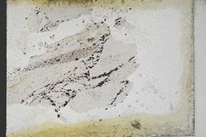Plane Polarized, S10910