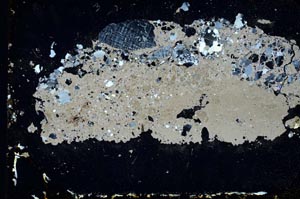 Cross Polarized, S10915