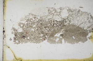 Plane Polarized, S10915