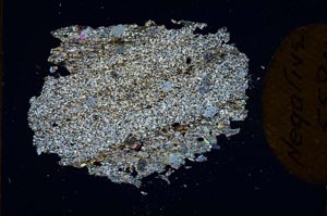 Cross Polarized, S10916