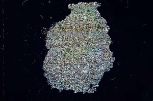 Cross Polarized, S10917