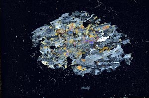 Cross Polarized, S10922