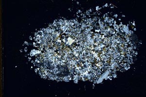 Cross Polarized, S10923