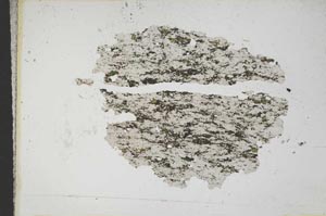 Plane Polarized, S10924