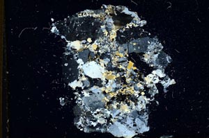 Cross Polarized, S10925