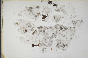 Plane Polarized, S10933