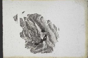 Plane Polarized, S10943
