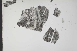 Plane Polarized, S10943/A