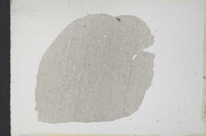 Plane Polarized, S10947