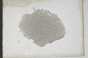 Plane Polarized, S10949