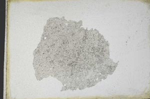 Plane Polarized, S10952