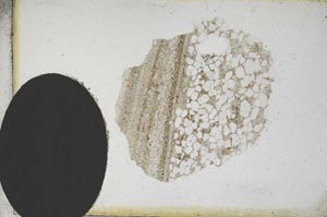 Plane Polarized, S10954