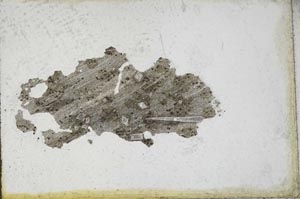 Plane Polarized, S10955