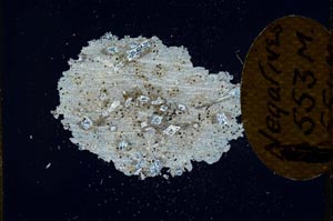 Cross Polarized, S10955/B