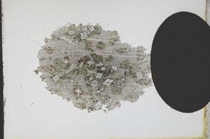 Plane Polarized, S10955/B