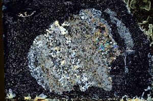 Cross Polarized, S10956