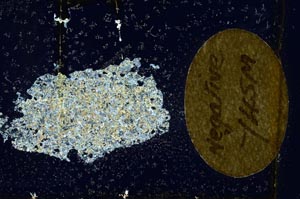 Cross Polarized, S10960