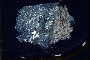 Cross Polarized, S10962